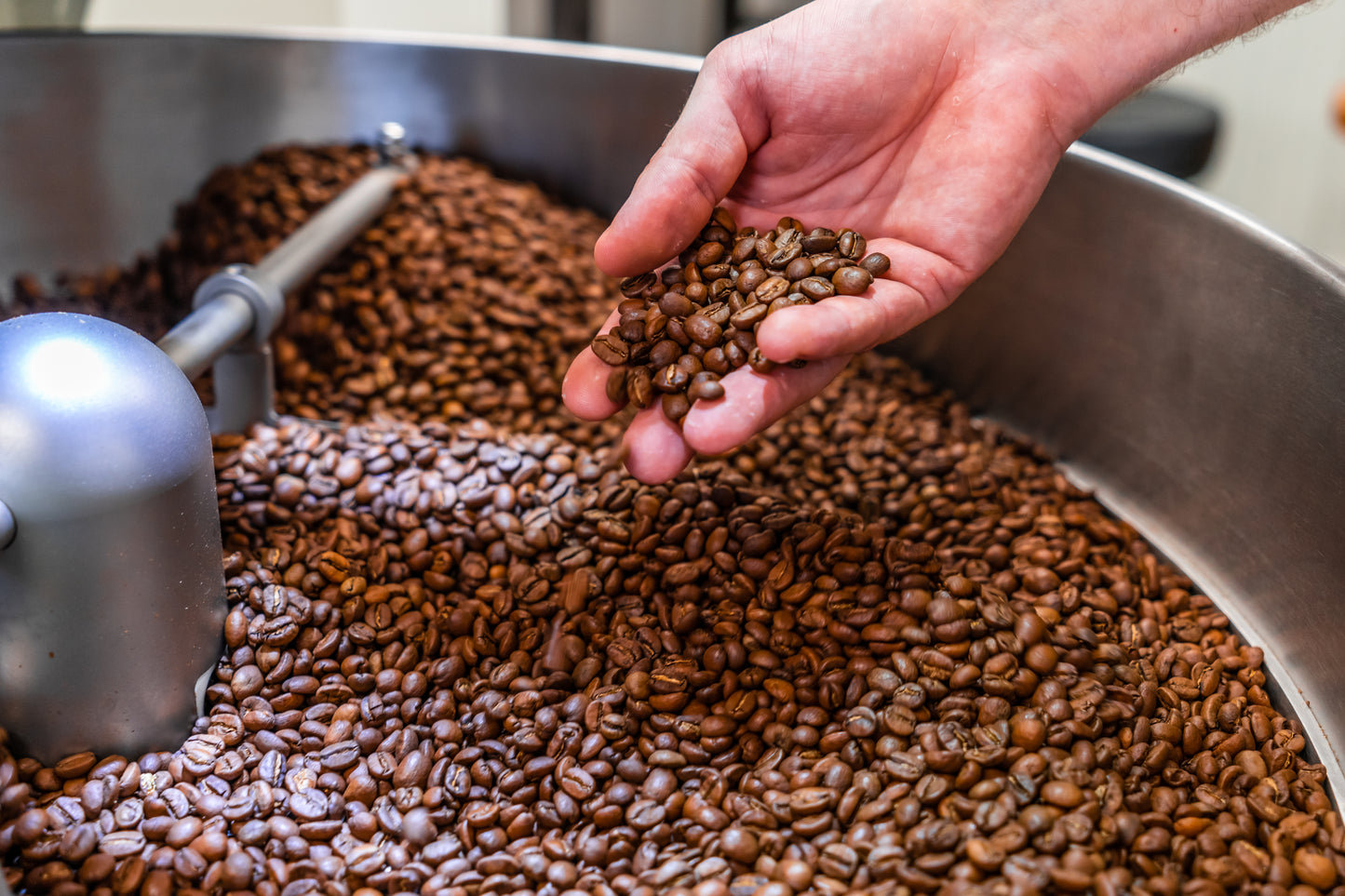Giesen Roasting Course Intermediate (4 days)