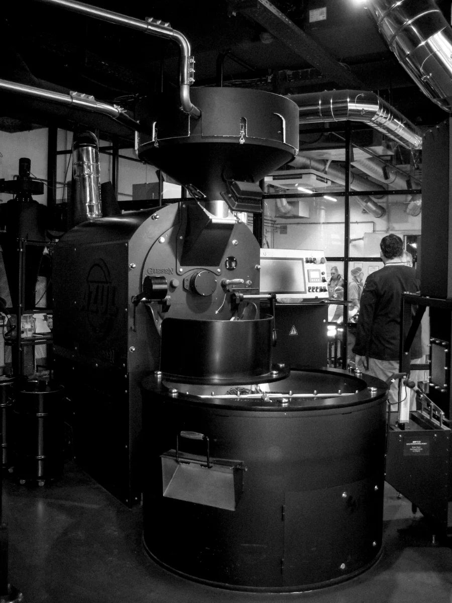 Giesen Advanced Roasting Program