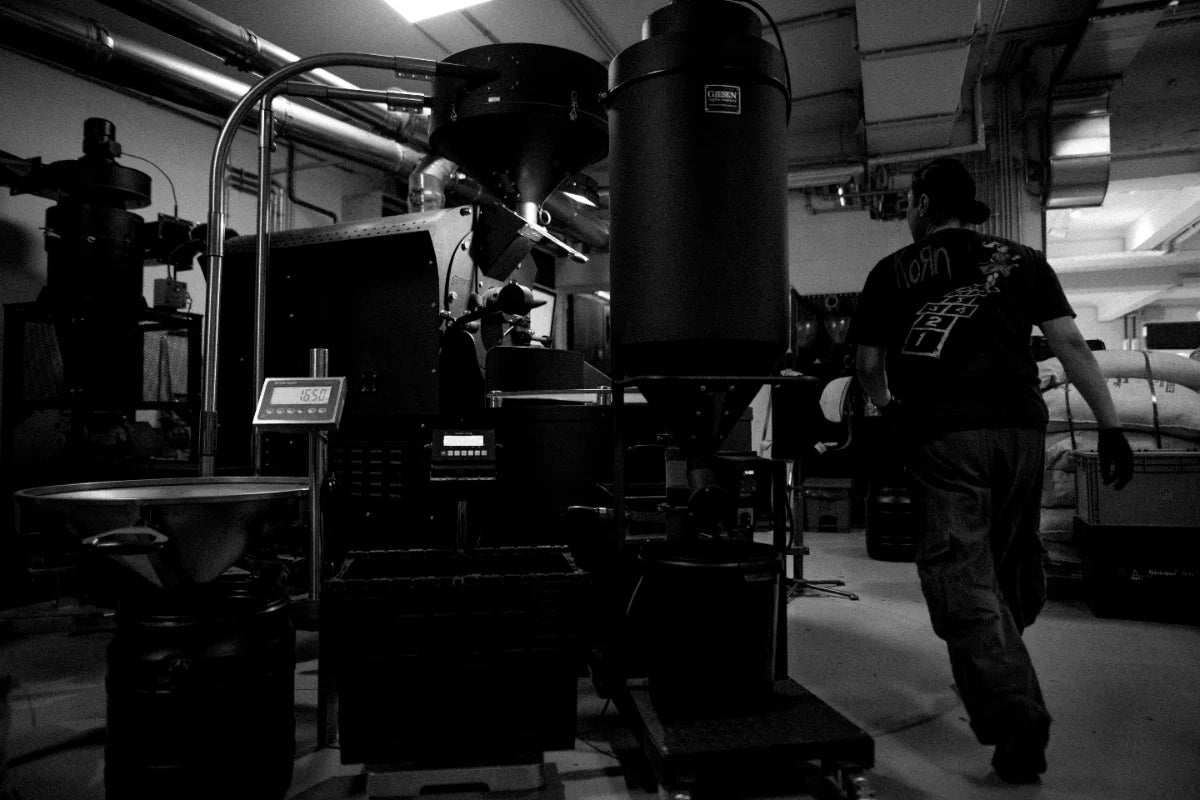 Giesen Advanced Roasting Program