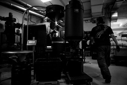 Giesen Advanced Roasting Program
