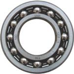 Ball bearing W15 (back)